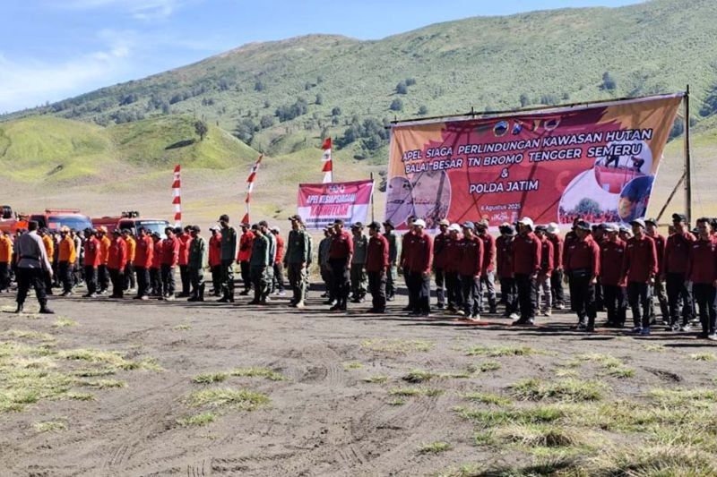 Trivia: Bromo Pernah Terbakar Hebat! BPBD Probolinggo Waspadai Karhutla Gunung Bromo di Musim Kemarau