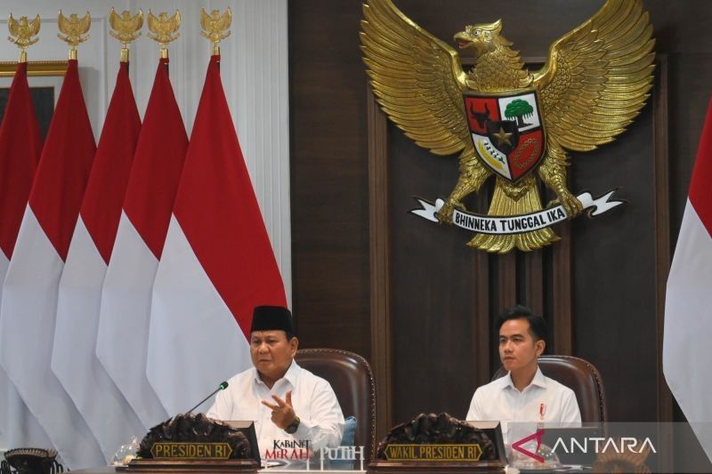 Terungkap! Cadangan Pangan Indonesia Capai Rekor Tertinggi Sepanjang Sejarah, Kebijakan Pangan Prabowo Dinilai Tepat