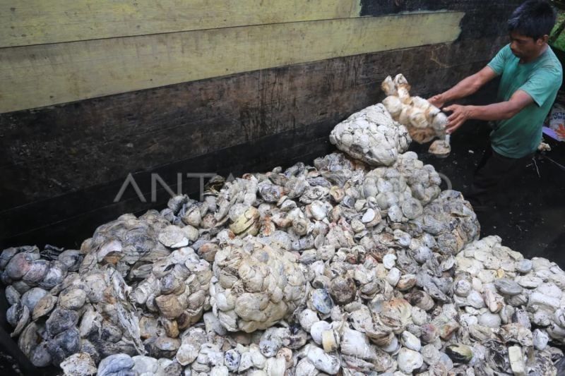Pabrik Baru di Aceh Barat Mampu Olah Ribuan Ton Karet: Pemprov Imbau Hilirisasi Karet Aceh untuk Kesejahteraan Lokal