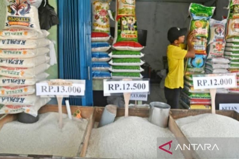 Fakta Unik: Setelah Kasus Beras Oplosan, Mutu Beras Jadi Sorotan Utama Konsumen!
