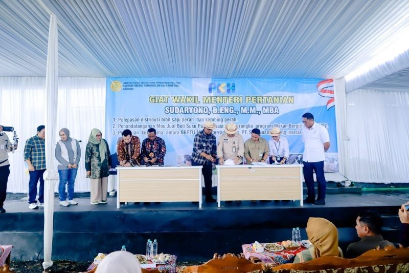 Tahukah Anda? PT SNJ Dukung Program Makan Bergizi Gratis Lewat Investasi Sapi Perah untuk Penuhi Gizi Nasional