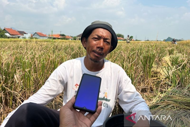Era Baru Pertanian: Penebusan Pupuk Subsidi KTP Permudah Petani Cirebon, Tak Perlu Kartu Tani Lagi!