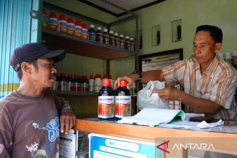 Cukup KTP, Petani Cirebon Kini Lebih Mudah Akses Pupuk Subsidi: Kios Ciawi Pastikan Penyaluran Sesuai HET