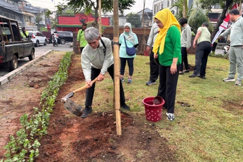 Fakta Menarik: Ratusan Pohon Tabebuya dan Tanaman Hias Hijaukan Kebon Jeruk, Tamhut Jakbar Gencarkan Penghijauan