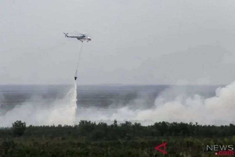 Terungkap! Deteksi 42 Titik Panas Sumsel di Awal Agustus 2025, BPBD Waspadai Puncak Kemarau