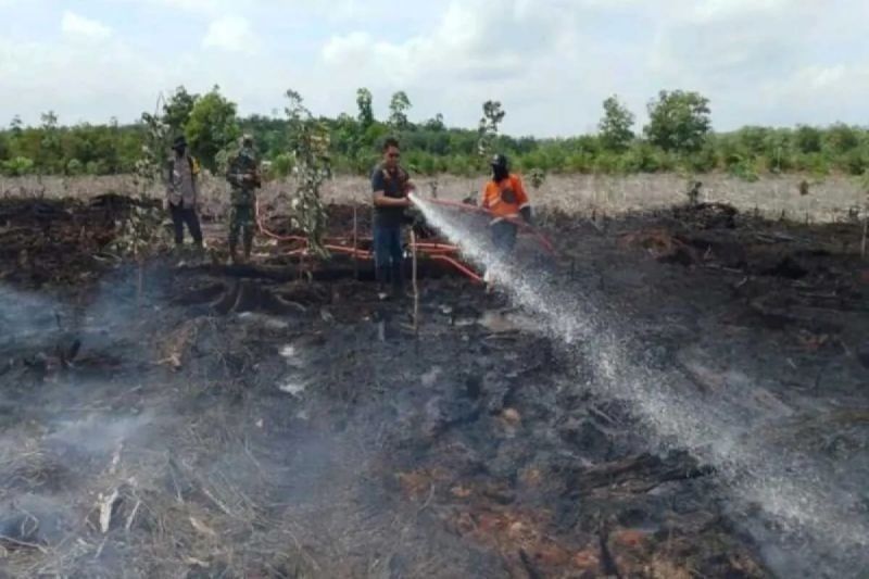 Fakta Mengejutkan: 152 Kejadian Karhutla Sumsel Tercatat hingga Agustus, Ogan Ilir Zona Merah
