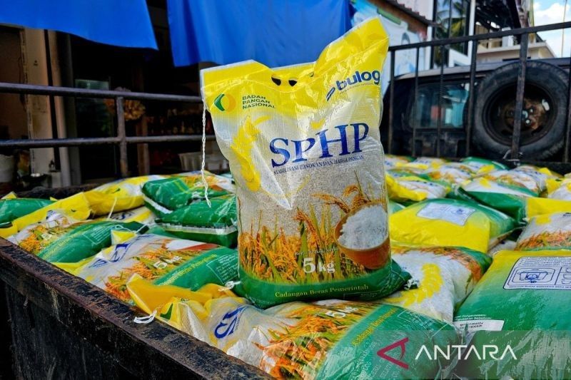 Terungkap: Apa Bedanya Beras Oplosan dan Beras Palsu? Pemprov Kepri Pastikan Tak Ada Beras Ilegal Beredar