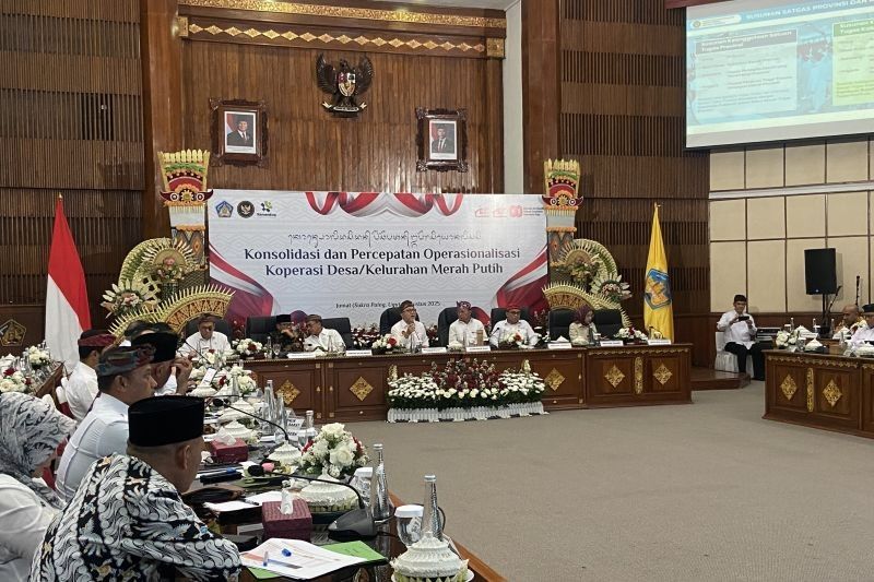 Fakta Unik Kesenjangan Harga Beras: Zulhas Dorong Gubernur Awasi Koperasi Desa Merah Putih Bulanan