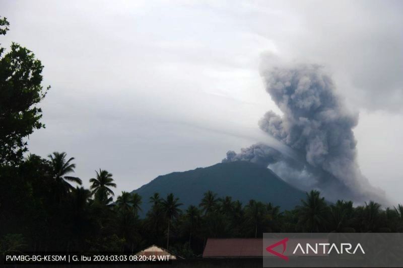 Fakta Mengejutkan: Gunung Ibu Erupsi Sembilan Kali Beruntun dalam 12 Jam, Status Siaga Ditetapkan