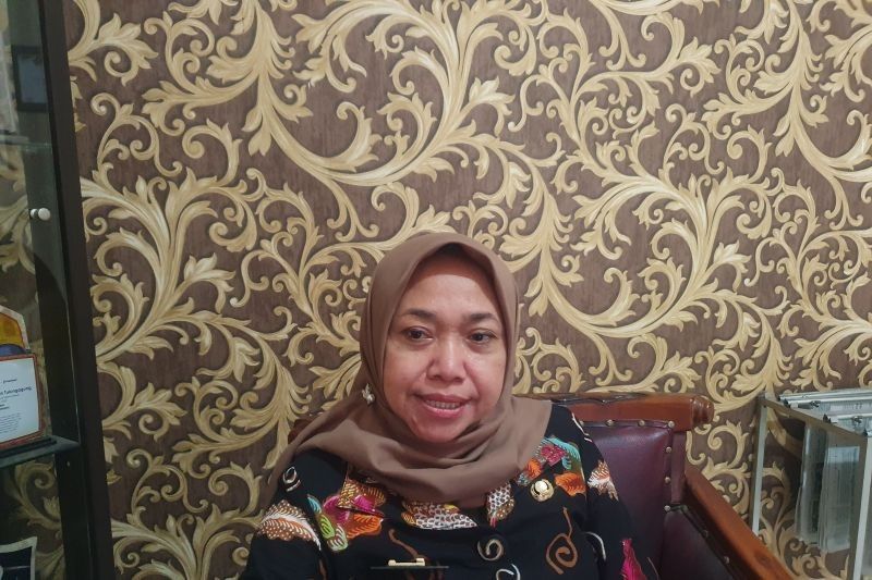 Fakta Unik: Populasi Ternak Babi Tulungagung Terbesar di Jatim, Namun Produksi Dagingnya Peringkat Ketiga