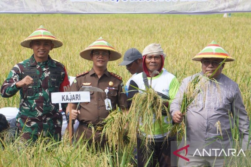 Fakta Luas Lahan: Pemkab Gorontalo Perkuat Kolaborasi Lintas Sektor untuk Swasembada Pangan