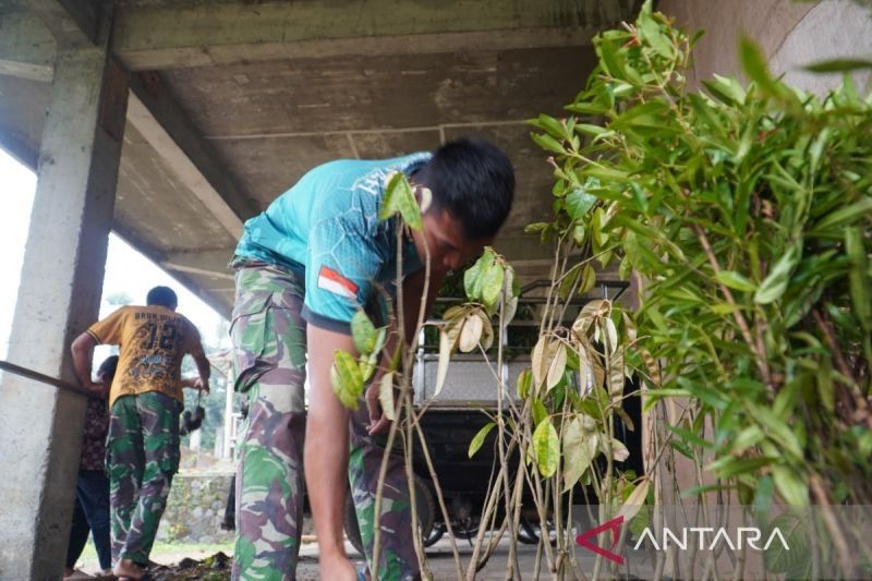 TMMD Temanggung Tanam 500 Bibit Buah: Solusi Inovatif Cegah Gangguan Kera Hutan di Lereng Gunung Sumbing