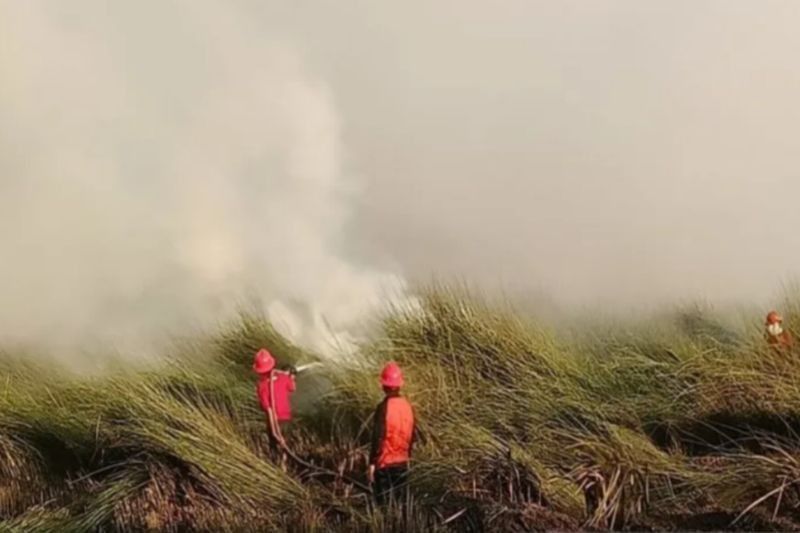 Fakta Unik: 145 Embung Disiapkan! Begini Kesiapsiagaan Karhutla Tanah Bumbu Hadapi Musim Kemarau