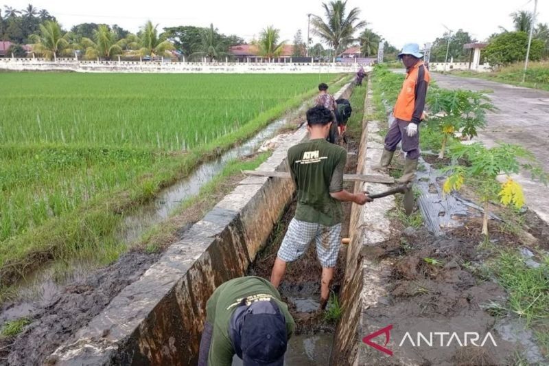 Tahukah Anda? BRMP Kaltim Pacu Pemuda Jadi Pengusaha Pertanian Modern Kaltim, Sektor Emas Masa Depan