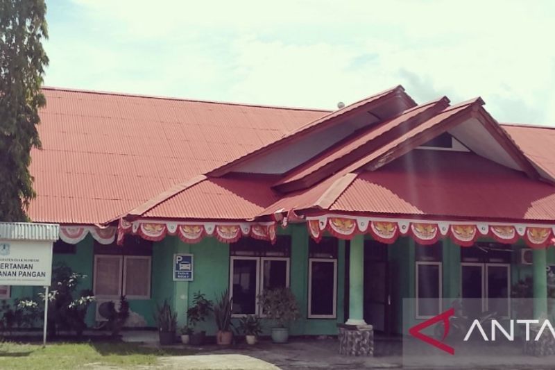Siap Penuhi Kebutuhan, Biak Numfor Jamin Pasokan Daging Babi Aman untuk Warga Papua Pegunungan