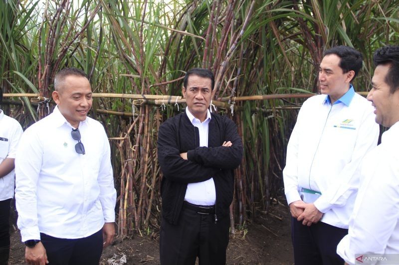Danantara Gelontorkan Rp1,5 Triliun, Solusi Pembelian Gula Petani yang Menumpuk di Gudang