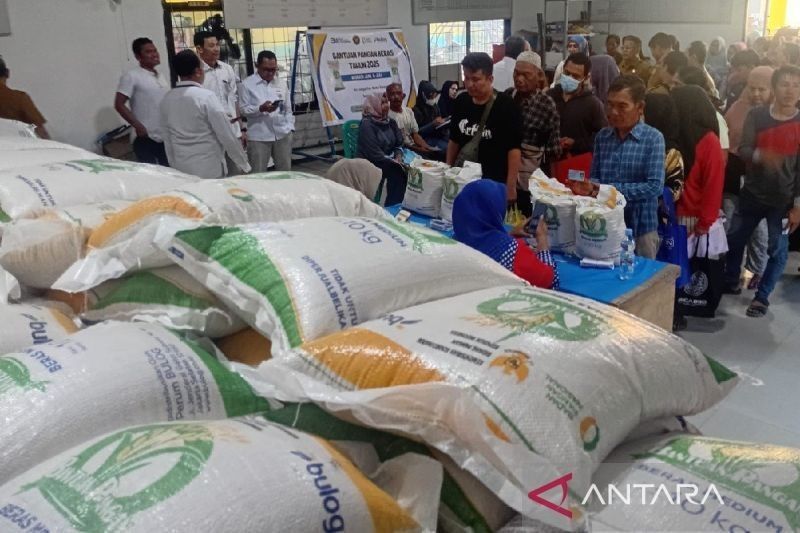 Penyaluran Beras Bantuan Pangan Bulog Sumut Capai 75 Persen: Jutaan KPM Terlayani