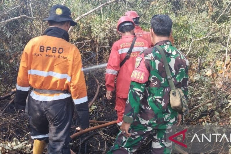 Fakta Mengejutkan: 100 Meter Persegi Lahan Gambut Terbakar, BPBD Muara Enim Padamkan Karhutla di Suka Merindu
