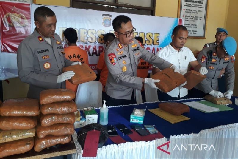 Fakta Mengejutkan: 44,06 Kg Ganja Gagal Dikirim ke Jakarta, Polres Padang Lawas Berhasil Ungkap Jaringan Narkotika
