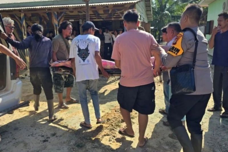 Tragedi Gajah Sumatera di Riau: Wanita Tewas Terinjak, BKSDA Ungkap Identitas Gajah