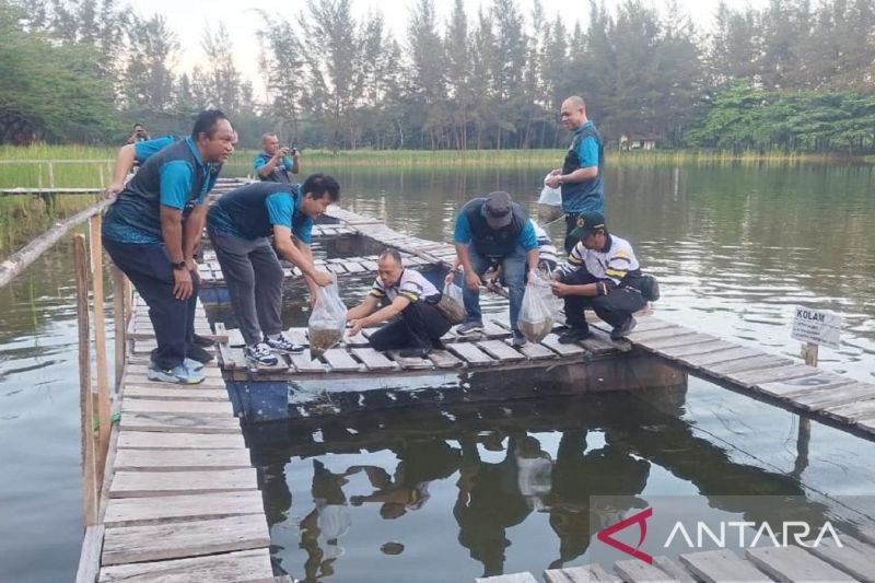 Fakta Menarik: 15.000 Bibit Ikan Nila Dilepas di Kolong Bekas Tambang Babel, Dukung Ketahanan Pangan Lokal