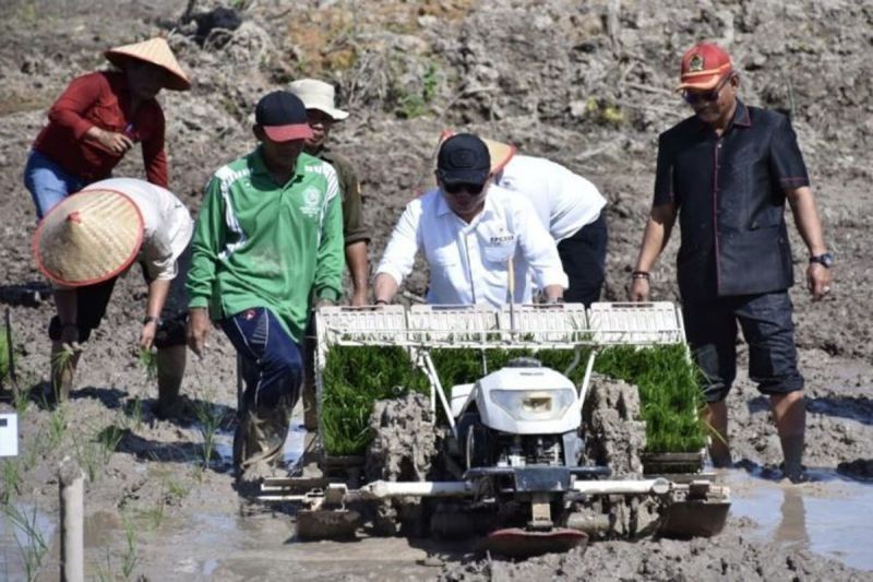 Anggaran Fantastis Rp50 Miliar: Pemkab Kapuas Genjot Infrastruktur Pertanian untuk Lumbung Pangan