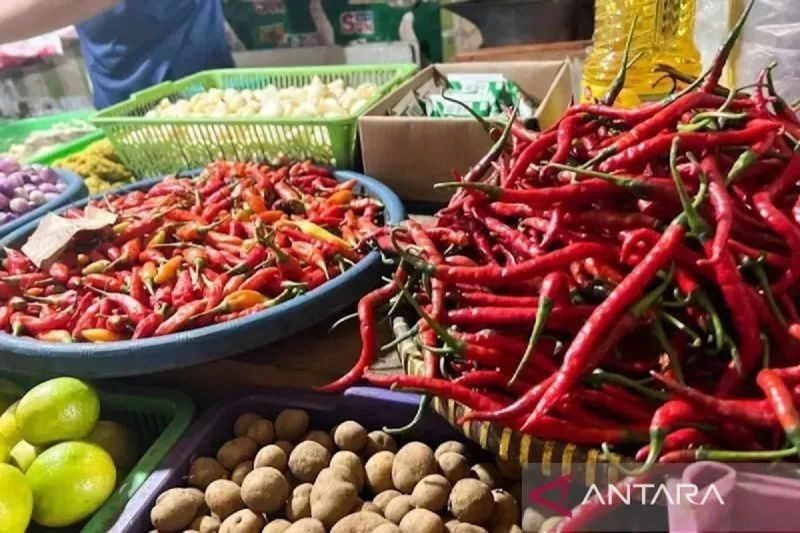 Harga Pangan Nasional Terkini: Cabai Rawit dan Bawang Merah Turun, Mayoritas Komoditas Stabil!