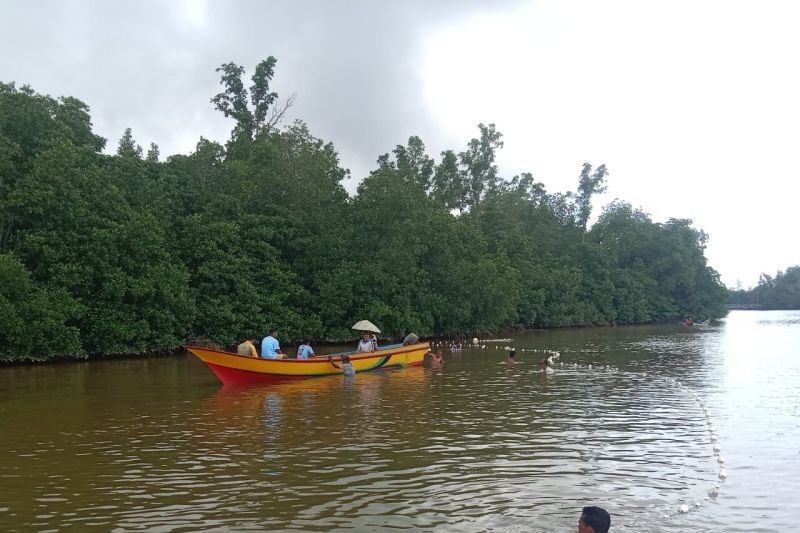 Tragis: Lansia Diterkam Buaya di Maluku Utara, Tim SAR Gabungan Intensifkan Pencarian