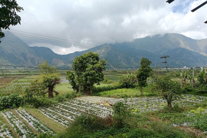 Kabar Gembira! Pendakian Gunung Rinjani Kembali Dibuka 11 Agustus 2025 Setelah Evaluasi Menyeluruh