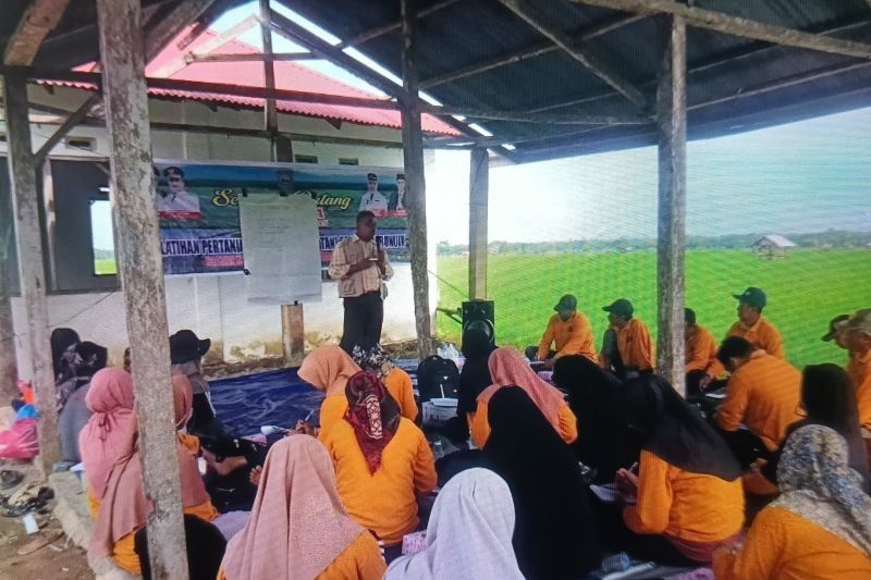 Penyaluran Dana Desa Pasaman Barat Capai Rp59,7 Miliar Hingga Juli 2025: Optimisme Penggunaan Tepat Sasaran