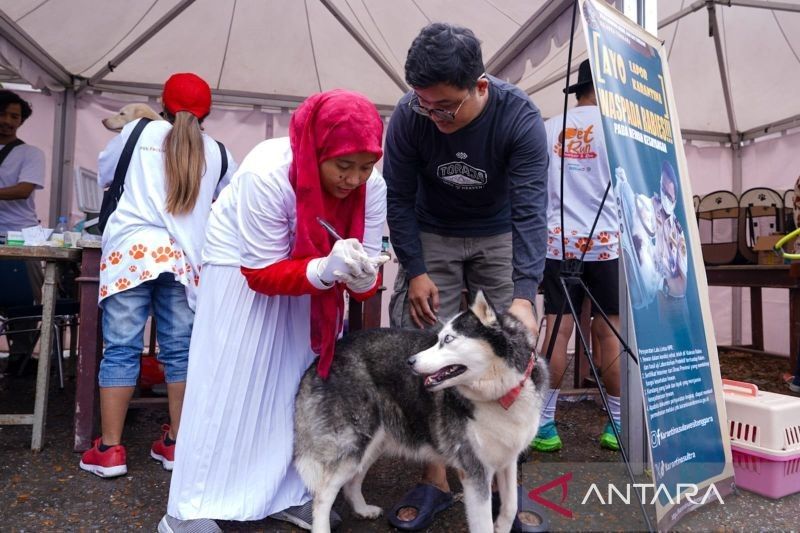 PDHI Sultra Edukasi Kesehatan Hewan Lewat Pet Festival, Ungkap 14 Wilayah Terkonfirmasi Rabies