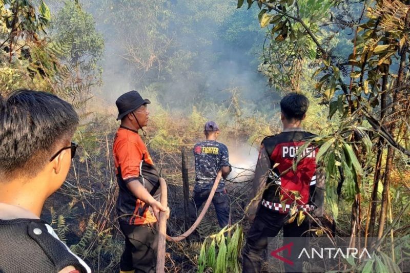 Fakta Mengejutkan: 63 dari 66 Titik Kebakaran Hutan Kalimantan Timur Berhasil Dipadamkan, Bagaimana Strateginya?