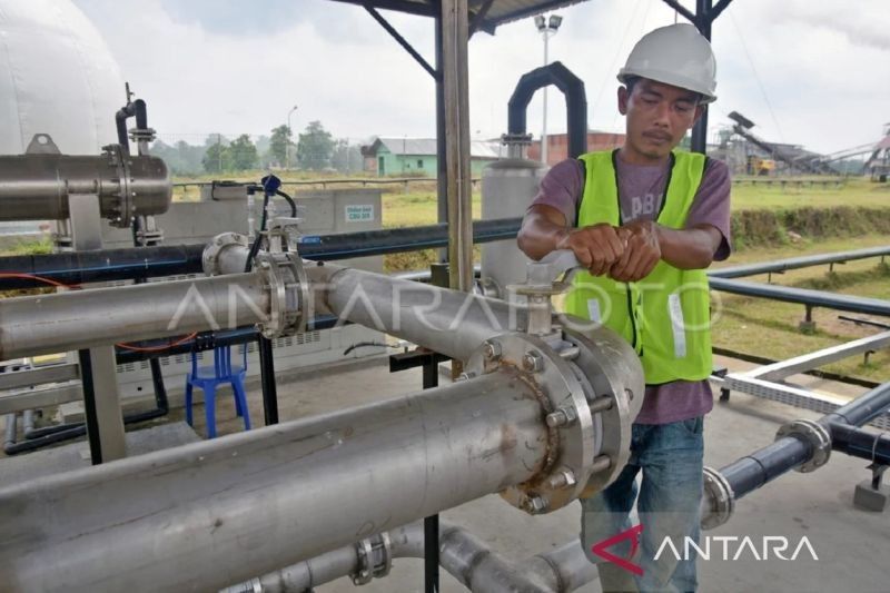Transisi Energi Kaltim: Limbah Sawit Ubah Polusi Jadi Listrik dan Hemat Miliaran Rupiah