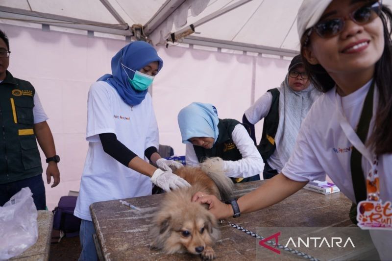 Fakta Menarik: PDHI Sultra Gelar Vaksinasi Rabies Sultra untuk 200 Hewan Peliharaan, Cegah Penularan