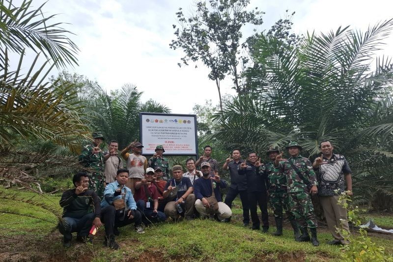 Operasi Besar Penertiban Kawasan Hutan di Sumbar: Satgas PKH & Kejati Amankan 8.000 Hektare Lahan
