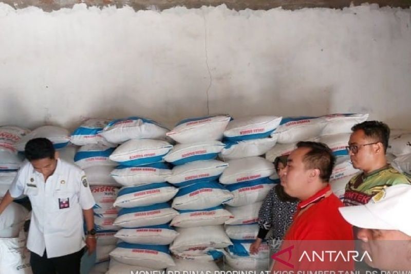 Fakta Unik: Serapan Pupuk Subsidi di Situbondo Capai 50 Persen per Juli 2025, Akankah 100 Persen Tercapai?