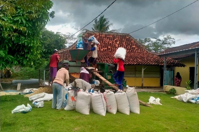 Turunkan Angka Kemiskinan 0,72 Persen: Program Desaku Maju Lampung Jadi Kunci Sejahterakan Desa