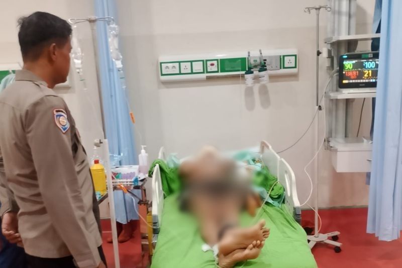 Terungkap! Pengemudi Mobil Listrik Penabrak PPSU di Pejaten Timur Berhasil Ditangkap Polisi