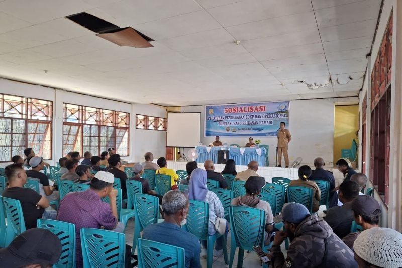 Tingkatkan PAD, DKP Papua Perkuat Pengawasan Pelabuhan Hamadi demi Optimalisasi Retribusi
