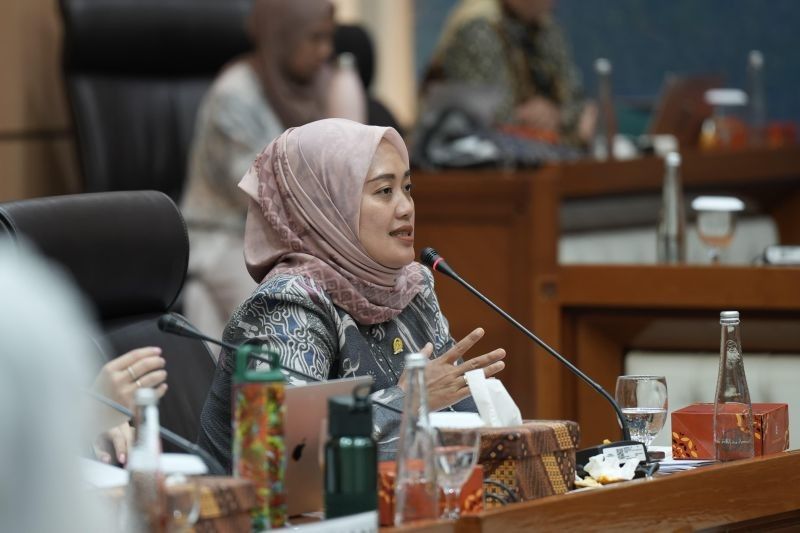 Fenomena Mengkhawatirkan: Komisi VII DPR Minta Pemerintah Tindak Tegas Dominasi Bisnis WNA di Bali