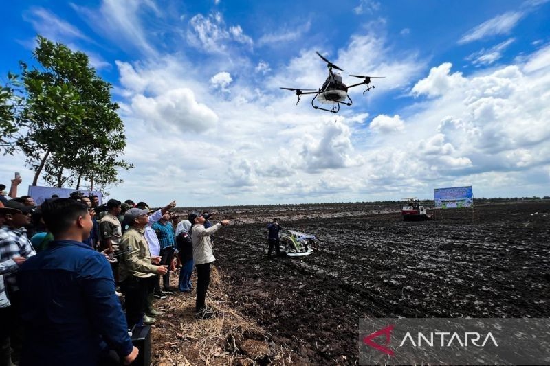 Meningkatkan Efisiensi Pertanian: Kementan dan Pemkab Tanah Laut Terapkan Teknologi Drone untuk Penanaman Padi Perdana