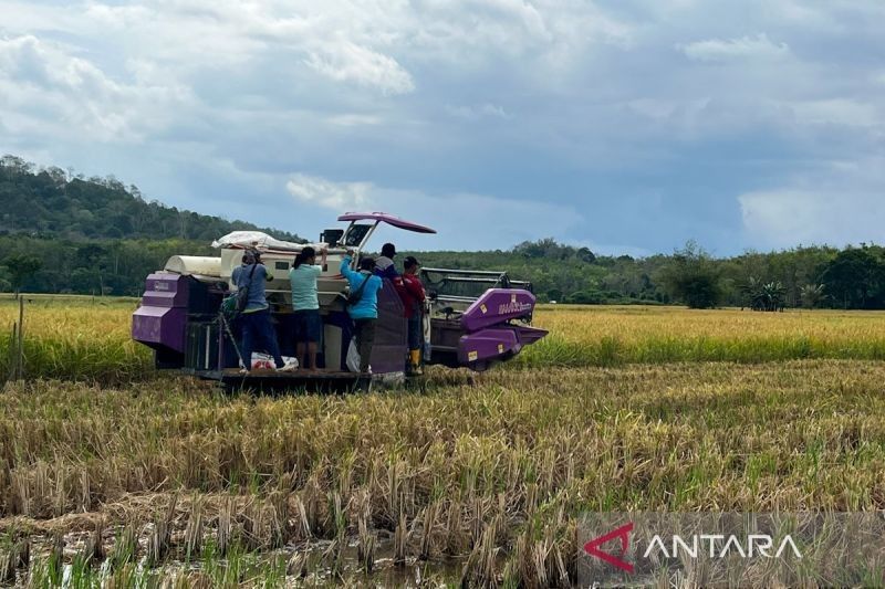 Target Ambisius Kementan: 30 Ribu Hektare Cetak Sawah Rakyat Kalsel Demi Swasembada Pangan Berkelanjutan
