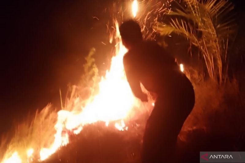 Musim Transisi: Tim Gabungan Sigap Tangani Kebakaran Hutan dan Angin Puting Beliung, Perkuat Penanganan Bencana Sumatera Utara