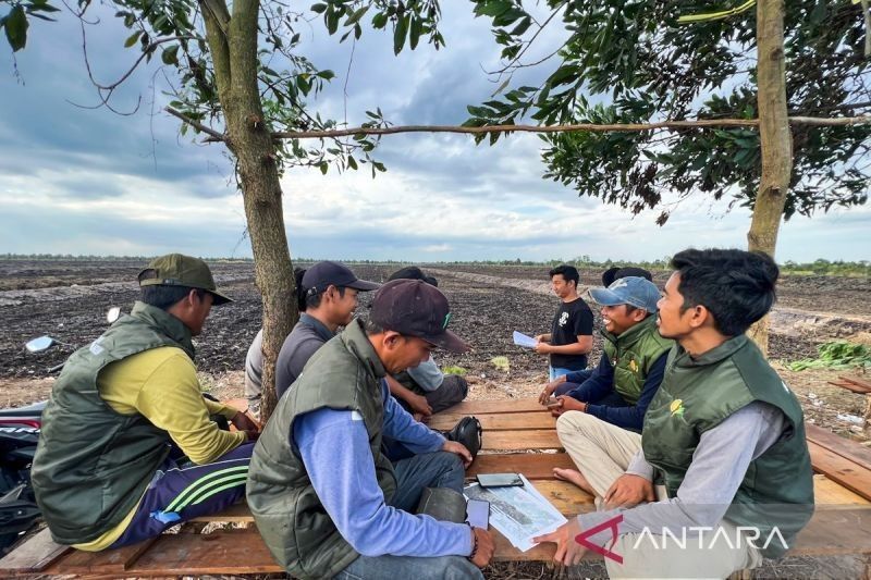 Mengejar Rp2 Miliar: Kisah Sukses Brigade Pangan Mengelola Sawah Berteknologi di Tanah Laut