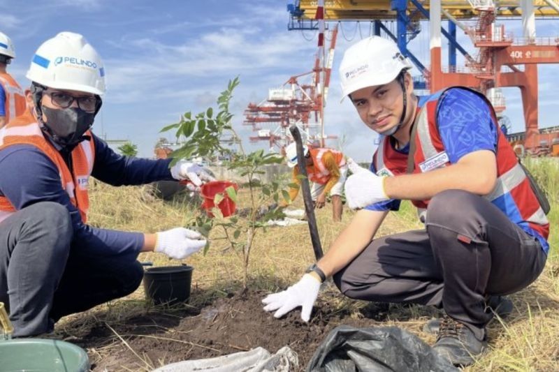 Sambut HUT RI, Pelindo Hijaukan Terminal Petikemas dengan 1.500 Pohon dari Belawan hingga Merauke