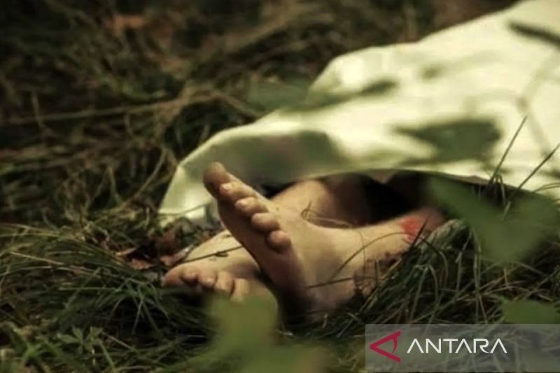 Misteri Luka Pelipis Mayat Pria Tambora: Polisi Duga Akibat Terjatuh, Bukan Kekerasan