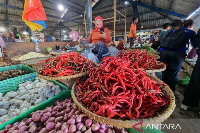 Fantastis! Penyaluran Kredit Papua Barat Tembus Rp9,44 Triliun di Semester I 2025, Lampaui Nasional
