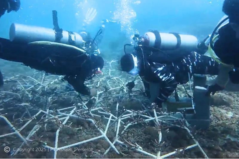 ASABRI Lestarikan Terumbu Karang di Bali: Ribuan Biota Laut Kini Punya Rumah Baru, Dorong Ekonomi Biru