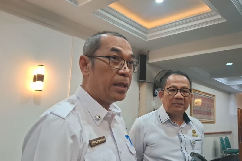 Fakta 7 Korban Jiwa Harimau Sumatera: Dishut Lampung Ungkap Solusi Atasi Interaksi Manusia Satwa Liar dengan Tambahan Pakan