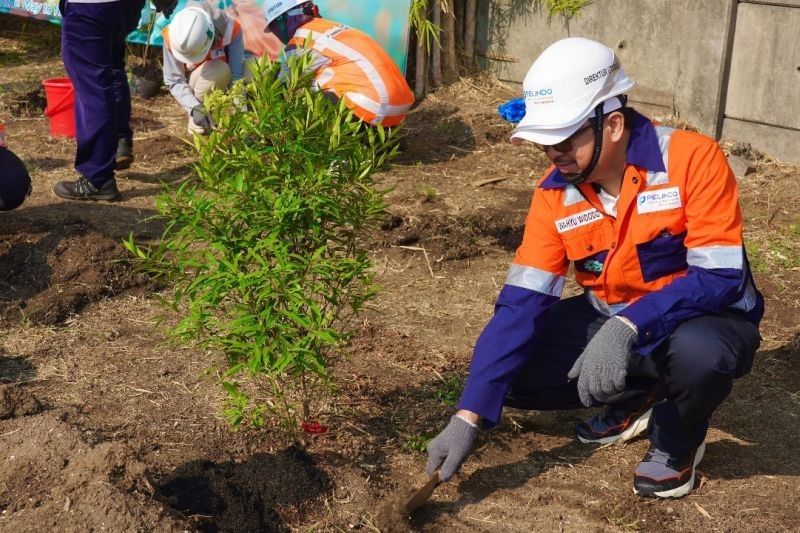 Fakta Unik: Ribuan Pohon Ditanam, Penghijauan Terminal Petikemas Surabaya Wujudkan Emisi Nol
